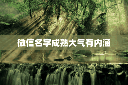 微信名字成熟大气有内涵(微信名字 昵称成熟有内涵)